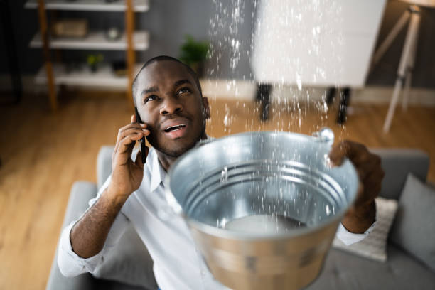 Best Mold removal after water damage  in Jonesboro, AR