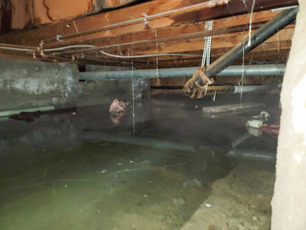 Best Water damage restoration near me  in Jonesboro, AR
