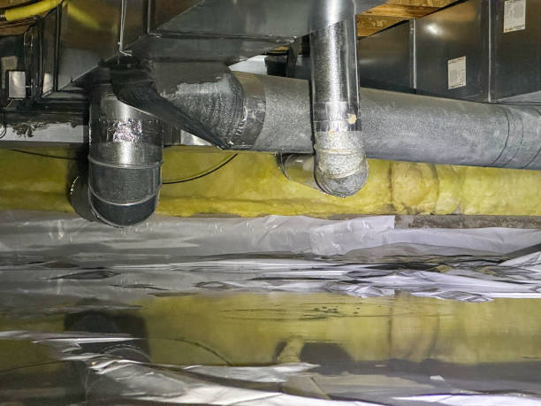 Best Flood damage cleanup  in Jonesboro, AR